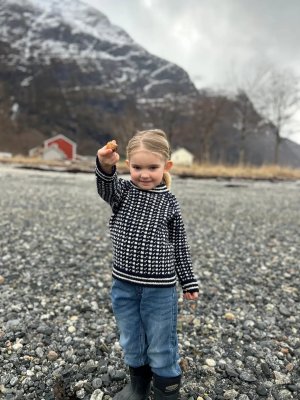Zoom bild av islender genser mönster oppskrift
